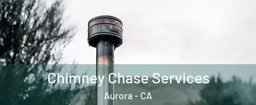 Chimney Chase Services Aurora - CA